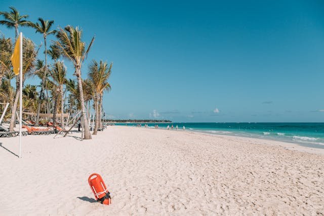 beach with palms in punta cana dominican